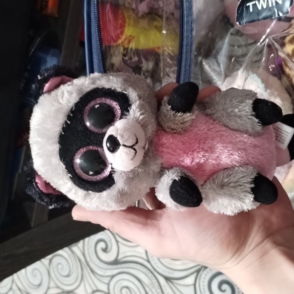 raccoon beanie boo